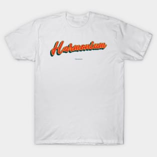 Harmonium T-Shirt